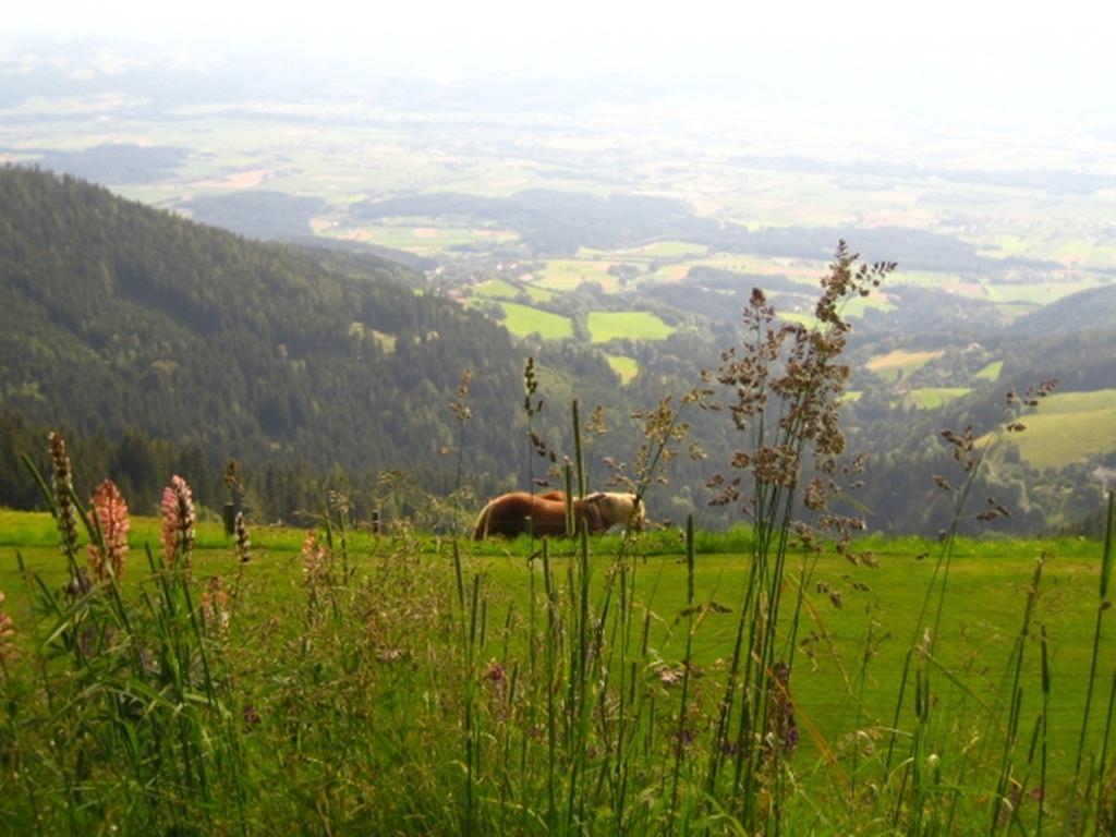 Alpenhotel Ozon Wolfgruber Wolfsberg Quarto foto