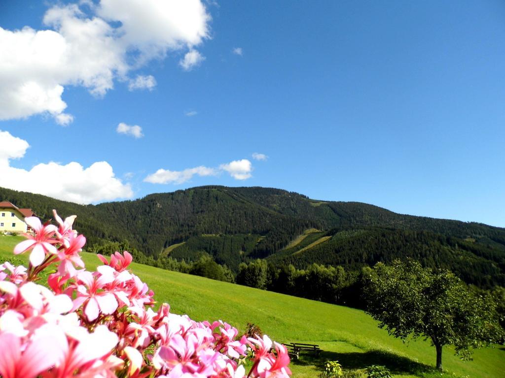 Alpenhotel Ozon Wolfgruber Wolfsberg Quarto foto